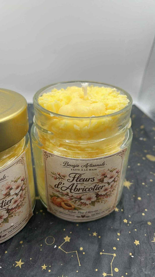 Fleur d’abricotier 