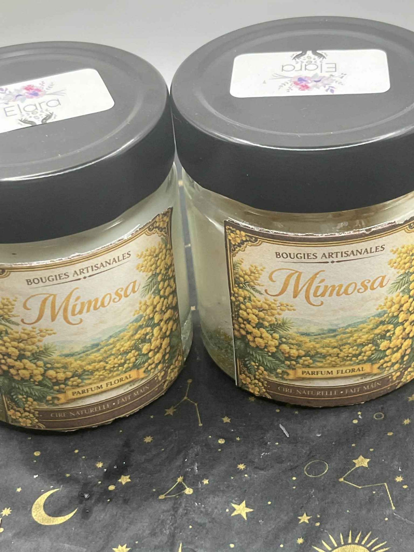 Mimosa