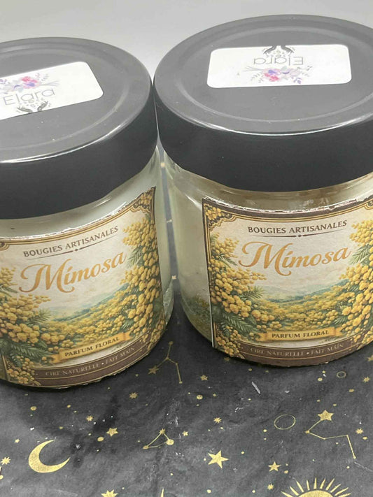 Mimosa