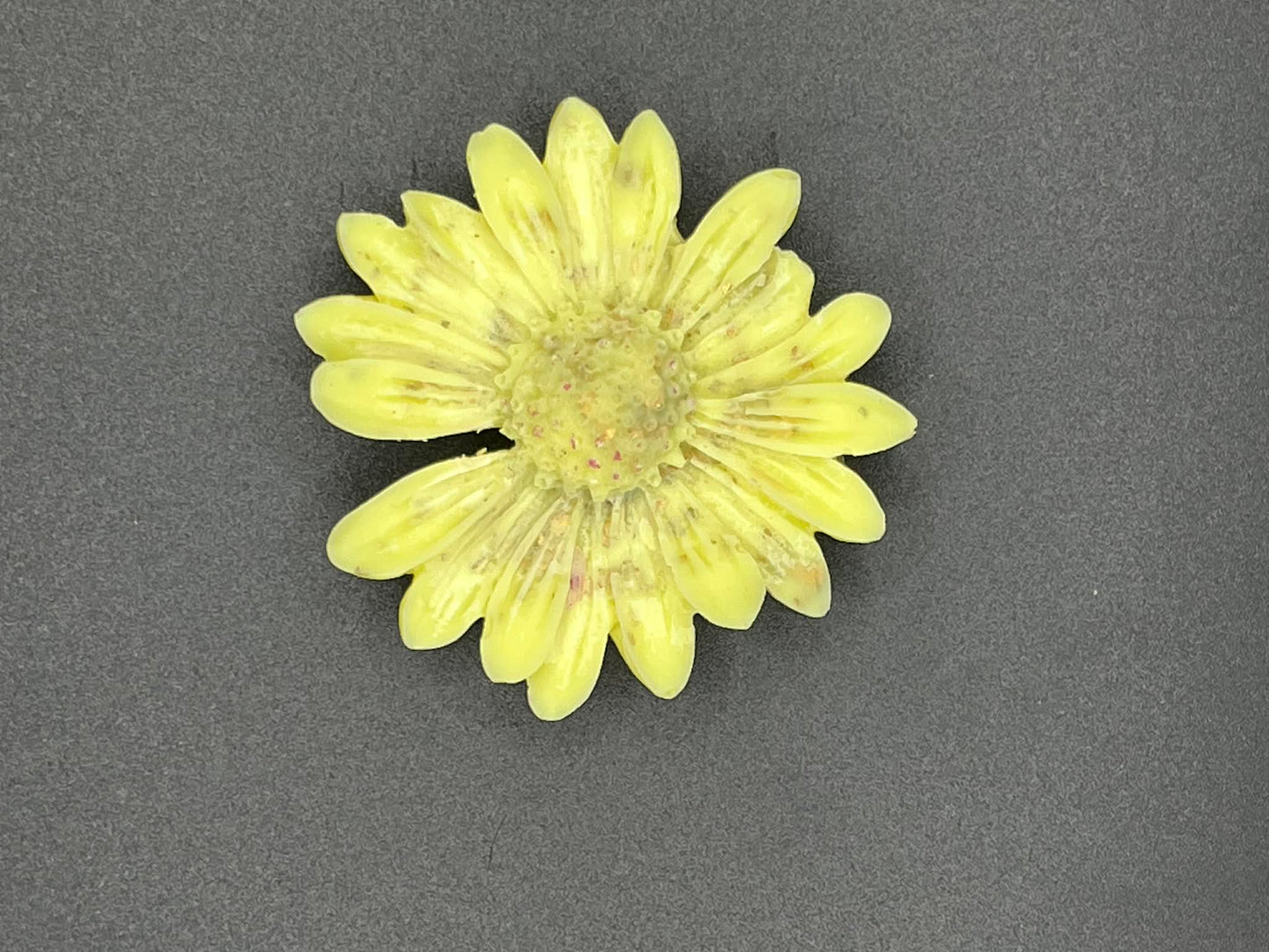 Orchidée blanche