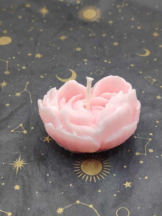 Bougie rose éternelle
